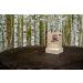 Dr. Squatch Basic Forest Pack - Pine Tar & Birchwood Breeze Handmade Bar Soap w/Organic Oils - Soap Gripper & Saver - Buy Online on SooperMarket.com