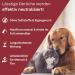Deodog Odor Neutralizer | Eliminate Stubborn Pet Smells | Safe for Homes Cars & Pets | Cat Urine Dog Urine & Vomit Remover - Buy Online on SooperMarket.com
