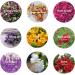 9 Bags Natural Dried Flowers Herbs Kit for DIY Soap and Candle Making - Rose Petals, Lavender, Jasmine, and More - Buy Online on SooperMarket.com