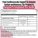 Kyolic - Cardiovascular Health Formula 109 120 Capsules - Reduce Elevated Blood Lipid Levels in Adults - Source of Antioxidant - Combination of Nattokinase and Suntheanine with Aged Garlic Extract 120 count (Pack of 1) - Buy Online on SooperMarket.com
