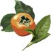 Family Persimmon Soap 2 Kopakku - Natural Cleansing Bar for Gentle Skin Care - Buy Online on SooperMarket.com