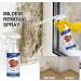 Wall Stain Removal Spray Wall Paint Cleaning Drywall Repair Spray Stubborn Wall Stains Remover Cleaner Spray Multi Purpose Powerful Descaling Cleaning Agent (1PCS) - Buy Online on SooperMarket.com