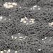 Catit Litter Mat Large 60 x 90 cm Gray Gray 1 count (Pack of 1) - Buy Online on SooperMarket.com