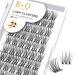 Cluster lashes 72 Clusters B&Q Lash Clusters D Curl Individual Cluster Lashes Natural Eyelash Clusters DIY Lash Extensions Soft Fluffy Cluster Eyelash Extensions (UK-FD-B49-D-10) D-10 mm B 49