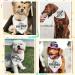Arricraft Big Brother Pet Bandana - White Cotton Triangle Scarf for Dogs and Cats 55x55x78cm - Buy Online on SooperMarket.com