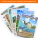 30PCS Hard Plastic Card Sleeves for Baseball Trading Cards | Protective Holder 3 x 4 Inch | Sports Card Protector - Buy Online on SooperMarket.com