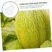 Happyyami Gardening Tool 6 Pcs Vegetable Mold Fruits Shaping Planting Small Mold Shaper Multifunction 9x8cmx2pcs Transparentx2pcs - Buy Online on SooperMarket.com