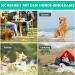 Dog Endanger Posts with Spring - Durable Ground Anchors for Large Dogs Training & Camping 1 Pack - Buy Online on SooperMarket.com