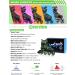 2PM SPORTS Torinx Adjustable Inline Skates | Fun Roller Blades for Kids | Beginner Roller Skates for Girls, Boys, Men, and Ladies | Green Large - Youth (4-7 US) - Buy Online on SooperMarket.com
