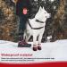 NeuWook Dog Boots 4 Pcs Waterproof Anti-Slip Breathable Dog Shoes with Two Adjustable Fastener Straps Easy to Wear Dog Sneakers Comfortable Soft Soled for Small Medium Large Dogs (Red XXL) XXL Red - Buy Online on SooperMarket.com