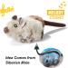 Vealind Interactive Cat Toy 2 Pack - Electronic Bird & Mouse with Sound | Ideal for Cats | Best Quality Pet Toys - Buy Online on SooperMarket.com