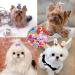 Berkelen 50-Piece Dog Hair Accessories Set Rubber Band Loops & Arches for Long-Haired Pets Perfect for Dogs & Cats - Buy Online on SooperMarket.com