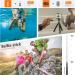 50-in-1 Action Camera Accessories Kit for GoPro, Insta360, DJI, Xiaomi, APEMAN, AKASO, Campark - Upgraded Bundle for Hero 11/10/9/8/7/6/5/4, Max, Fusion - Buy Online on SooperMarket.com