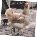 FRCOLOR 200 Pcs Pigeon Anklet Plastic Tags Chicken Foot Bands Dove Pigeon Foot Bands Baby Chicken Foot Ring 1X1X0.8CMx2pcs Bluex2pcs - Buy Online on SooperMarket.com