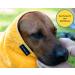 Canicoat Dog Towel SECCARE Set with Glove - Oeko-Tex Certified Microfiber Suction-Strong & Fast Drying (S/M Yellow) | International Shipping - Buy Online on SooperMarket.com