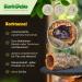 Cork Bark Tube 30 cm (Rodent Reptile Vivarium) cork wood tree oak 11-14 cm | cleaned & sanitised - Buy Online on SooperMarket.com