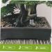 HAPINARY 3pcs Mini Liquid Feeder Ants Water Feeding Clear Ants Feeder Plastic Insect Feeder - Buy Online on SooperMarket.com