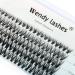 Individual Cluster Lashes D Curl 0.07mm Mixed 8-16mm 30 Root Cluster Eyelash Extensions Grafting Individual Cluster Eyelashes 30D DIY Lashes Clusters Lash Extensions(Clusters-30D-0.07-D-816) RR-8-16mm Clusters-30D-0.07-D