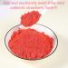 High Quality Dried Strawberry Powder 0.5kg | 100% Natural No Additives | Perfect for Baking | International Shipping Available - Buy Online on SooperMarket.com