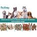 PawGang 100% Natural Rabbit Ears with Fur 500g - Healthy Hypoallergenic Dog Treats - Grain Free and Tasty Chews - EU Sourced - Bulk Bag - Buy Online on SooperMarket.com