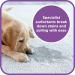 Pet Magic 5 Litre Pet Dog Carpet Cleaning Shampoo Solution | Tough on Stains and Odours | Suitable for all Machines | Fresh Linen Fragrance (1 Pack) - Buy Online on SooperMarket.com
