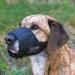 Trixie 19261 Black Muzzle with Mesh Insert - Polyester Size S - 1 Piece for Dogs | International Shipping Available - Buy Online on SooperMarket.com