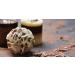 C&T Aroma Coffee - White Chocolate Flavored Ground Coffee 500g | Premium International Roastery - Buy Online on SooperMarket.com