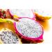 Exotic Dragon Fruit 2 Pieces 650 gm