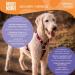 Max & Molly Missy Pop Dog Harness - Odorless Neoprene Comfort & Loss Protection | Shop Internationally - Buy Online on SooperMarket.com