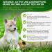 BogaProtect Spot On for Dogs - Natural Flea & Tick Protection (10-20 kg) | 12 Weeks Supply | UBO0352 - Buy Online on SooperMarket.com