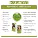 Naturtint Permanent Hair Color 6A Dark Ash Blonde - Ammonia-Free, Vegan, Cruelty-Free | Up to 100% Gray Coverage | Long-Lasting Results - Buy Online on SooperMarket.com