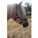JF-Reitsport Cavesson Pro 2021 - 4-Way Adjustable Soft & Shock-Absorbing Padded for Warmbloods | International Shipping Available - Buy Online on SooperMarket.com