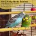 S&X Sand Perch Covers for Birds - Large 3 Pack | Durable & Comfortable Perch Accessories - Buy Online on SooperMarket.com