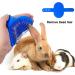 Bunny Grooming Kit: Rabbit Brush, Hair Remover, Nail Clipper, Comb & Bath Brush in Blue - Buy Online on SooperMarket.com