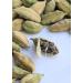 Premium Green Cardamom Pods 75g | Large 10mm Hari Elaichi | Fragrant & Fresh Whole Pods | Rich in Cardamom Seeds | Enhance Food Mood - Buy Online on SooperMarket.com
