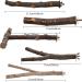 5PCS Natural Wood Bird Perches for Parrot - Wooden Stand Branches for Small Birds - Cage Accessories for Parakeet, Budgies, Cockatiels, Conure, Lovebirds - Buy Online on SooperMarket.com