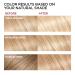 L'Oreal Paris Superior Preference 9.5N Lightest Natural Blonde Hair Color 3-Pack - Fade-Defying + Shine Permanent Dye - Buy Online on SooperMarket.com