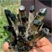 Natural Crystal Rough Crystals 1pc Black Phantom Quartz Crystal Cluster (Size : 900-1000g) - Buy Online on SooperMarket.com