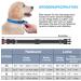 Haapaw Reflective Dog Collar - Padded Soft Neoprene Nylon for Small/Medium Dogs - XS (1-Pack) - Breathable & Durable Black - Buy Online on SooperMarket.com