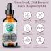 Buy Bella Terra Black Raspberry Seed Oil 2 oz - Cold-Pressed Unrefined High in Vitamin E & Omega-3 - Enhance Your Beauty Naturally - Buy Online on SooperMarket.com