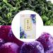 Socobeta Grape Oolong Tea 24pcs Cold Brew Fruit Tea Bags for Casual Drinks in The Morning and Afternoon Free Time kitchen Home Appliances - Buy Online on SooperMarket.com