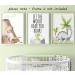 Dinosaur Set of 3 Unframed Poster Prints with Quote for Baby Nursery Decor - Roar A4 - Buy Online on SooperMarket.com