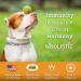 Organic Wholistic Pet Bovine Colostrum Powder for Dogs & Cats | Allergy Relief, Gut Health, Immune Support | High Antibody Levels | Puppies & Adult Dogs/Cats - Buy Online on SooperMarket.com