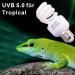 Dernord UV Lamp for Reptiles - 13W 5.0 UVA/UVB Terrarium Light Bulb for Budgies Leopard Geckos & Turtles - Optimal Heat Lamp - Buy Online on SooperMarket.com