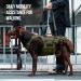 OneTigris Dog Lift Harness for Large Dogs - Dog Support Sling with Handles | Invictus Multifunctional Mobility Assistance Vest - Dog Hip Support Brace | Olive (L) - Buy Online on SooperMarket.com