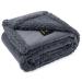 Waterproof Pet Blanket, Liquid Pee Proof Dog Blanket for Sofa Bed Couch, Reversible Sherpa Fleece Furniture Protector Cover for Small Medium Large Dogs Cats, Dark Gray Large(65" x 57") L (65" x57") Dark Gray