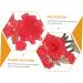 KALLORY 6 Pcs Embroidery Appliqu Flower Decals Embroidery Paste Diy Craft Supply Folk- 3d - Buy Online on SooperMarket.com