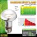 Exo Terra Intense Basking Spot Heat Lamp R20 25W E27 Socket - Pack of 2 | International Shipping Available - Buy Online on SooperMarket.com