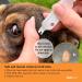 tick-off Patented Tick Tweezers Human Tick Remover with 2 Sizes Tick Hook & Ergonomic Handle Double-Sided for Dogs Cats Horses Clinically Tested Single Pack Blue - Buy Online on SooperMarket.com