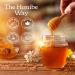 Honibe Honey Drops | 100% Pure Honey | Solid Honey Sweetener | Soothes Sore Throat | Pack of 12 20 Drops per Pack (240 Drops) - Buy Online on SooperMarket.com